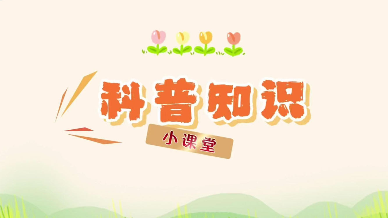 放风筝，注意安全